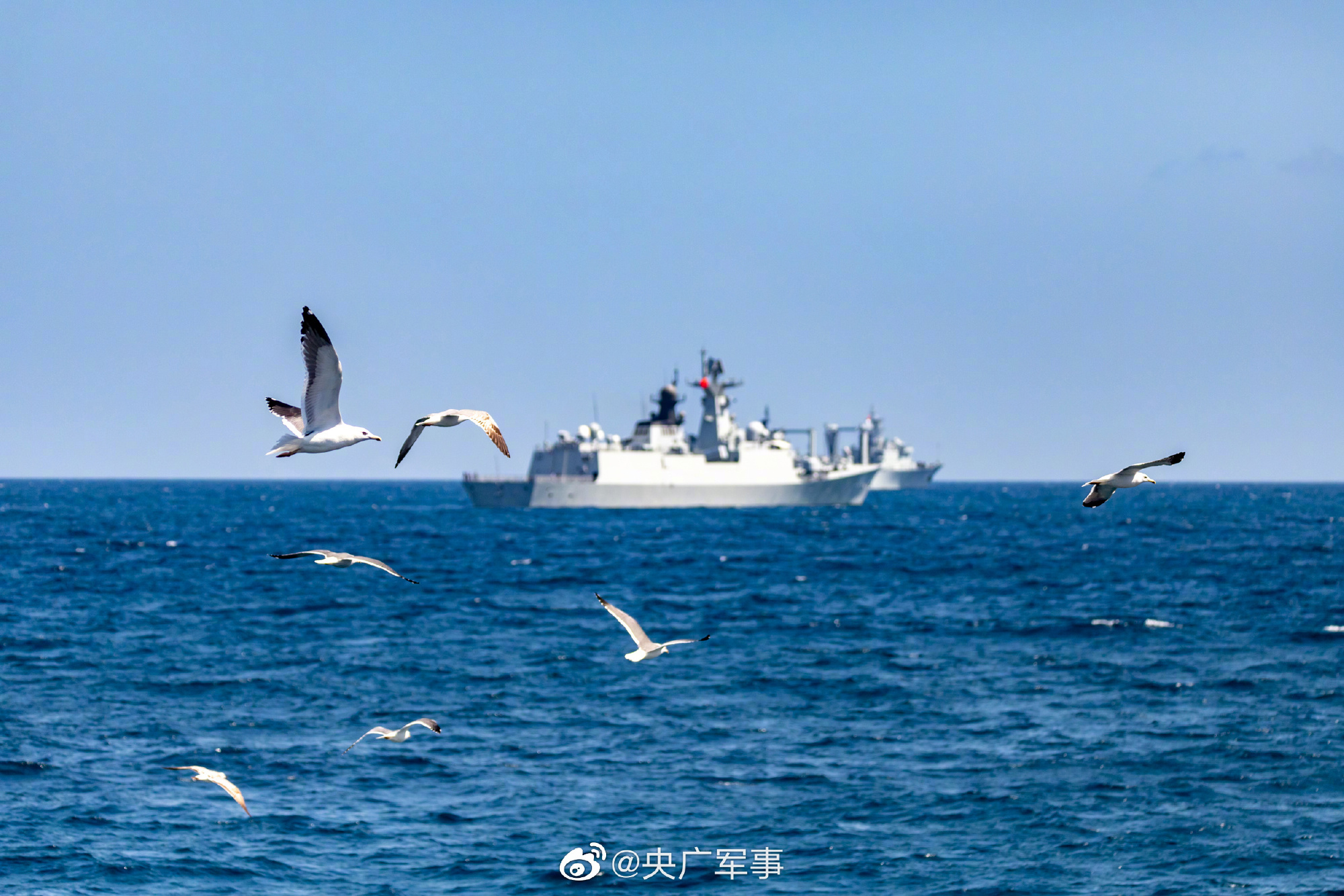 081c48e46386656d18777aeb524c46a3_001SX8hXly1hc0vc9qm82j61xg1abb2902.jpg 081c48e46386656d18777aeb524c46a3_001SX8hXly1hc0vc9qm82j61xg1abb2902.jpg