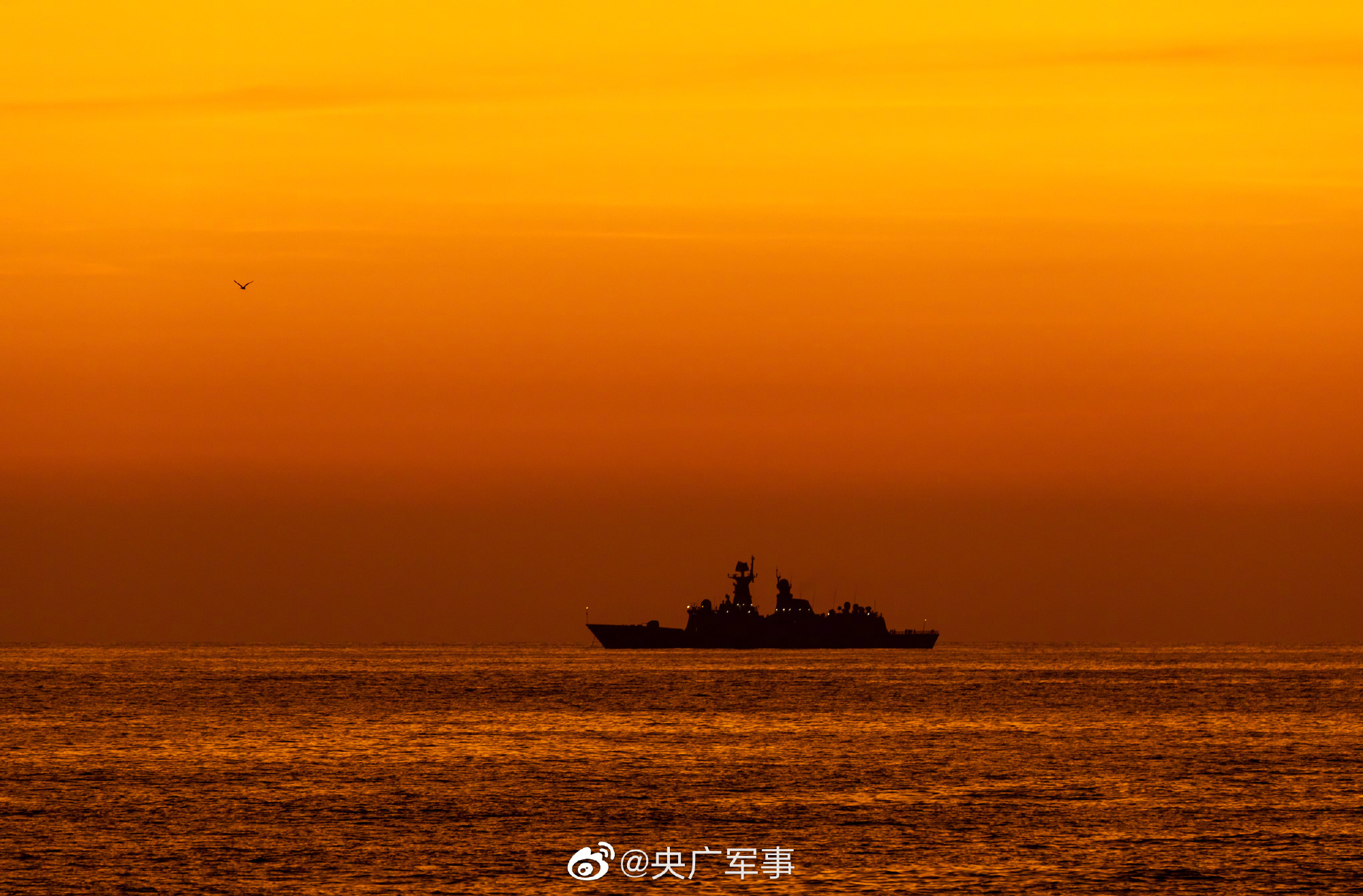 6f6d4a7be085b0105435925dabb08860_001SX8hXly1hc0vc25kfij61xg19pe8102.jpg 6f6d4a7be085b0105435925dabb08860_001SX8hXly1hc0vc25kfij61xg19pe8102.jpg